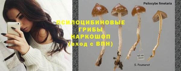бошки Алзамай