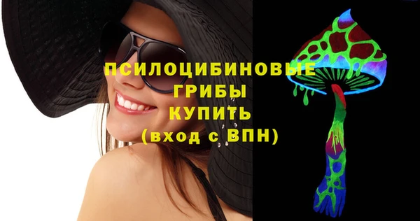 герыч Алексин