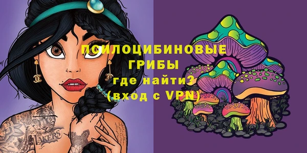 бошки Алзамай